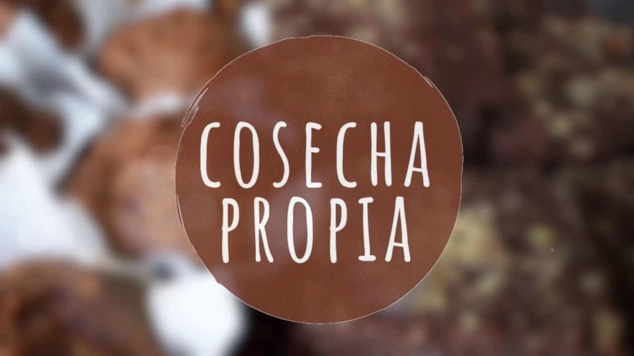 COSECHA PROPIA