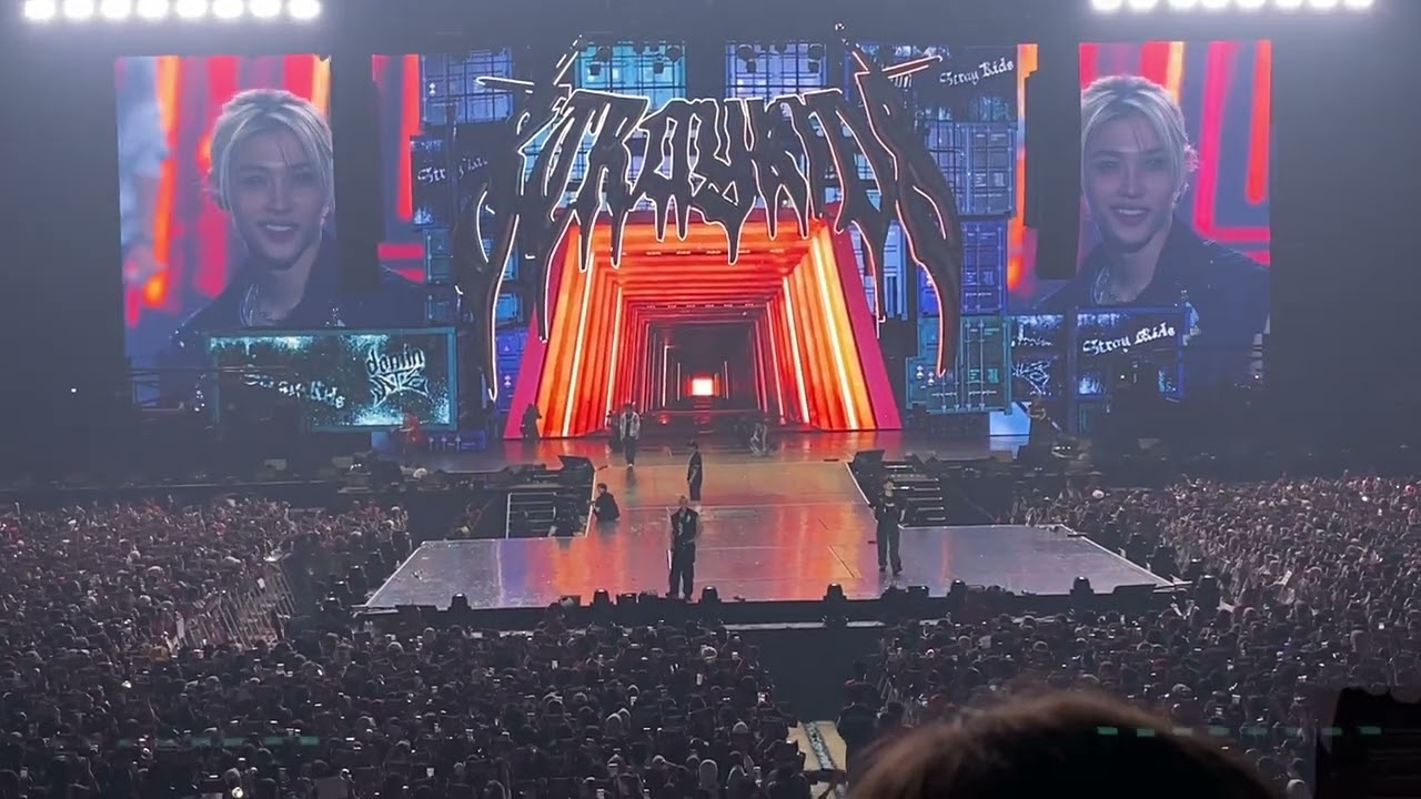 241221 STRAY KIDS'S REACTION TO VCR PROJECT | DOMINATE IN JAKARTA