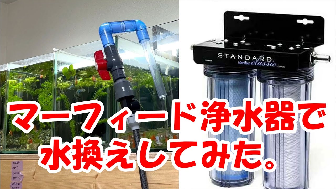 マーフィード浄水器を使ってみた。【水換え】