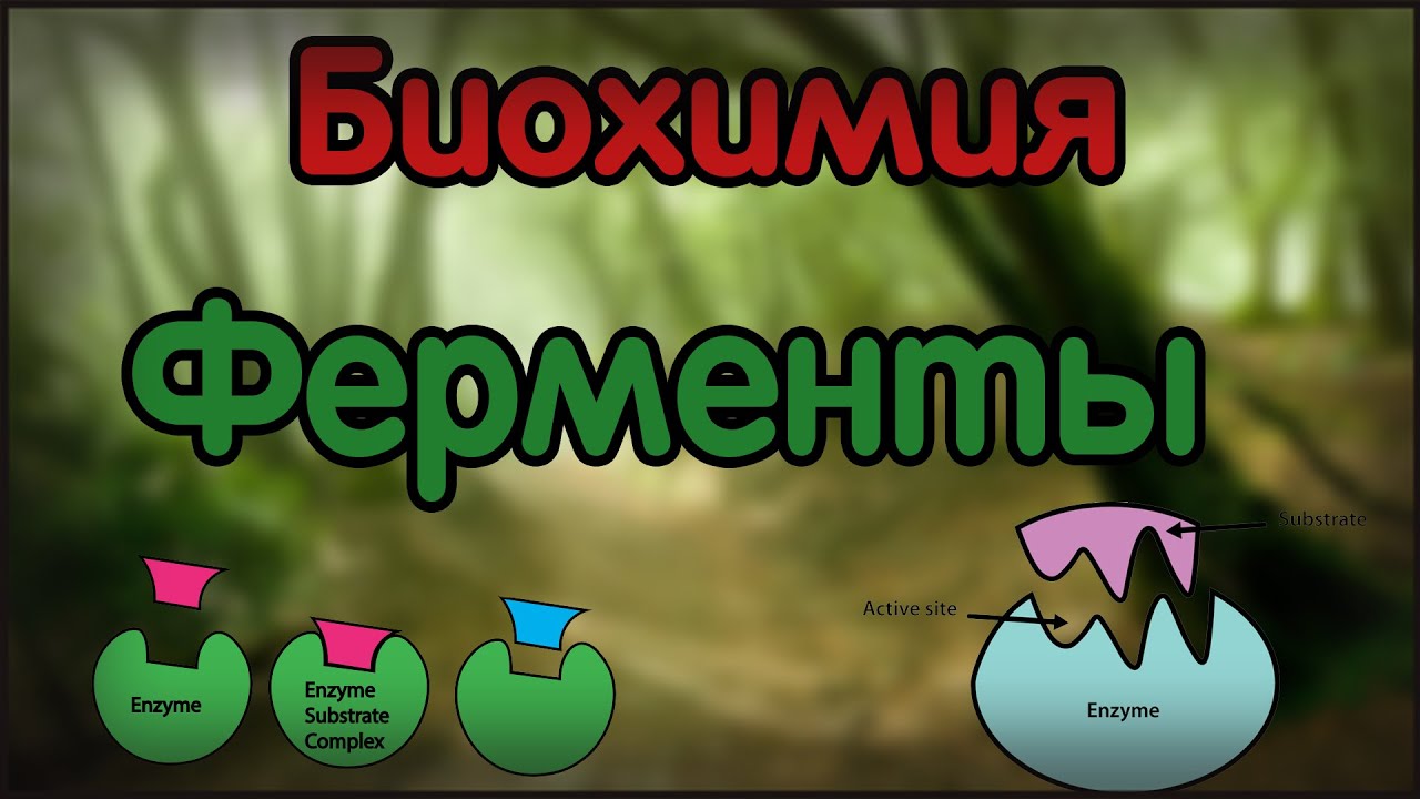 Биохимия. Лекция 21. Ферменты. Part 1.