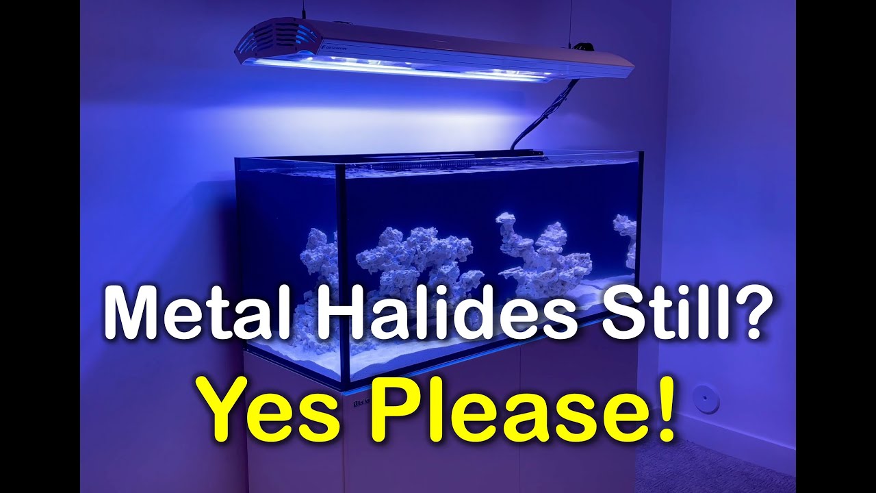 Red Sea Reefer G2 Reef Tank Build | Metal Halide Lighting and How to Hang from Ceiling