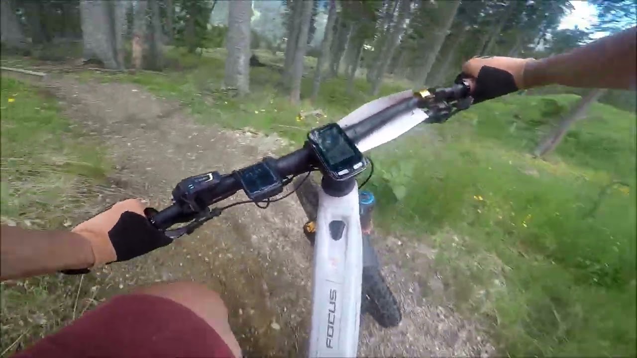 Erla trail