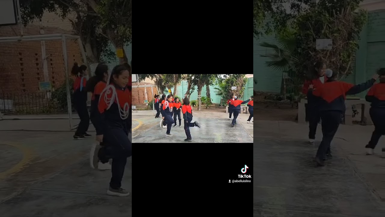Actividad Física Saludable_ Semana Nº 4
