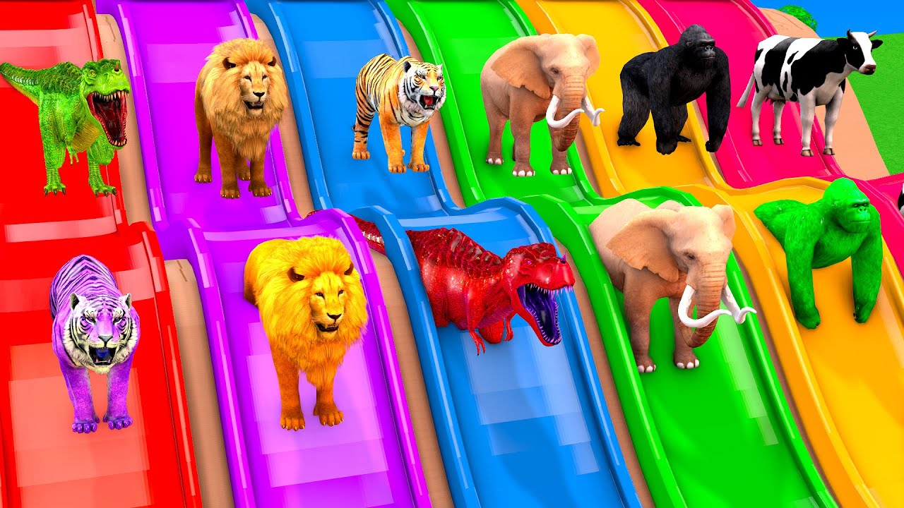 Long Slide Game With Elephant Cow Tiger Gorilla T-Rex 3d Animal Game Funny 3d Animals Cage Game