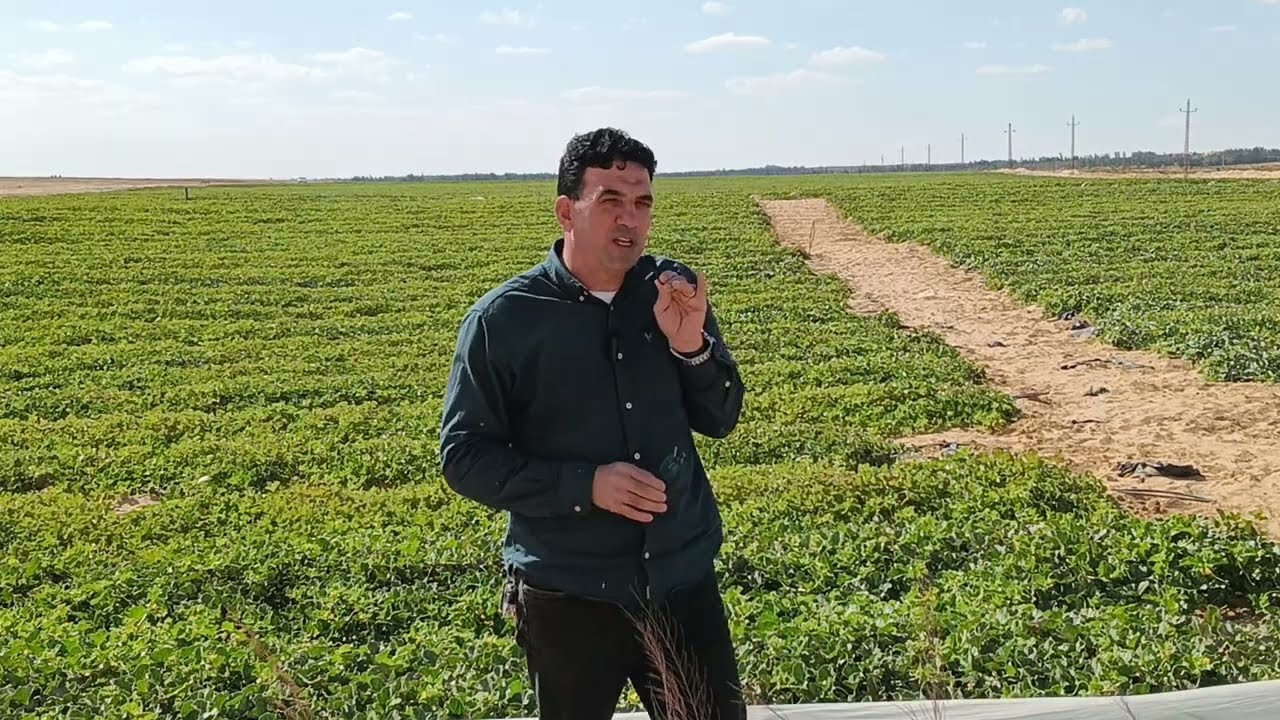المرحلة الثانية من استصلاح وتقسيم الاراضى فى البحر الفارغ وادى النطرون