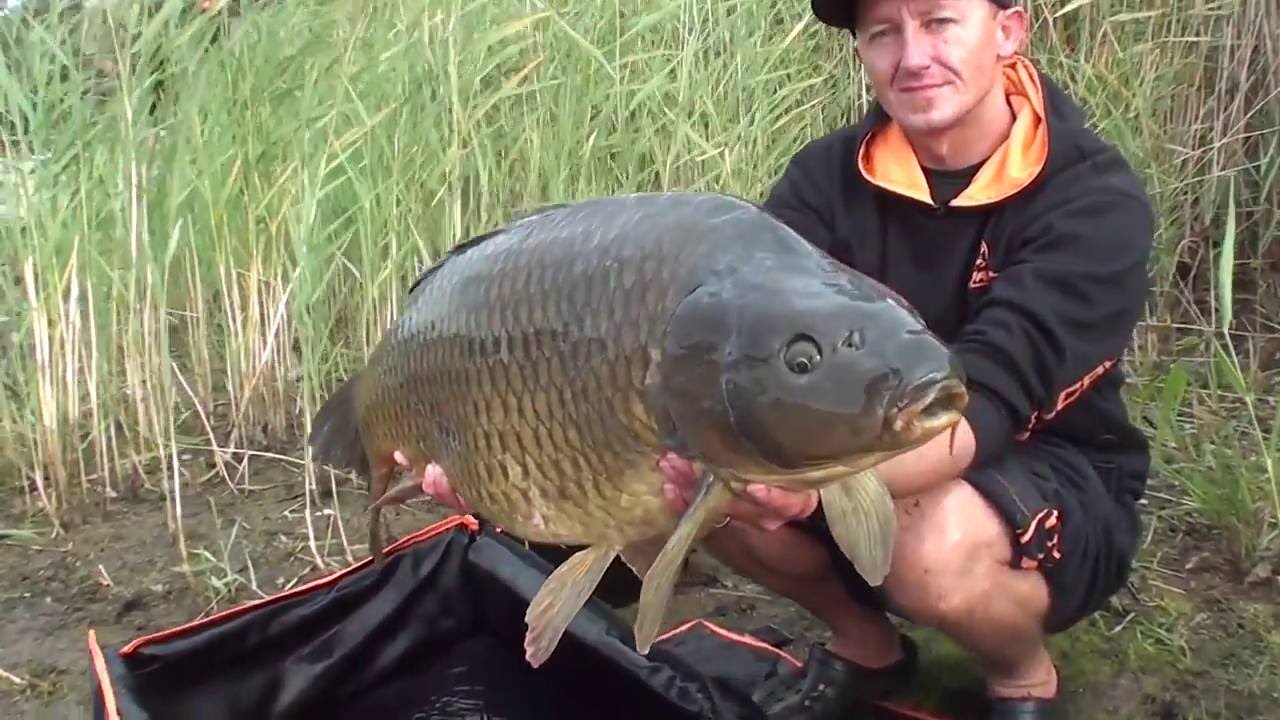 ** RADICAL CARPE ** P&ecirc;che de la carpe en Republique Tcheque