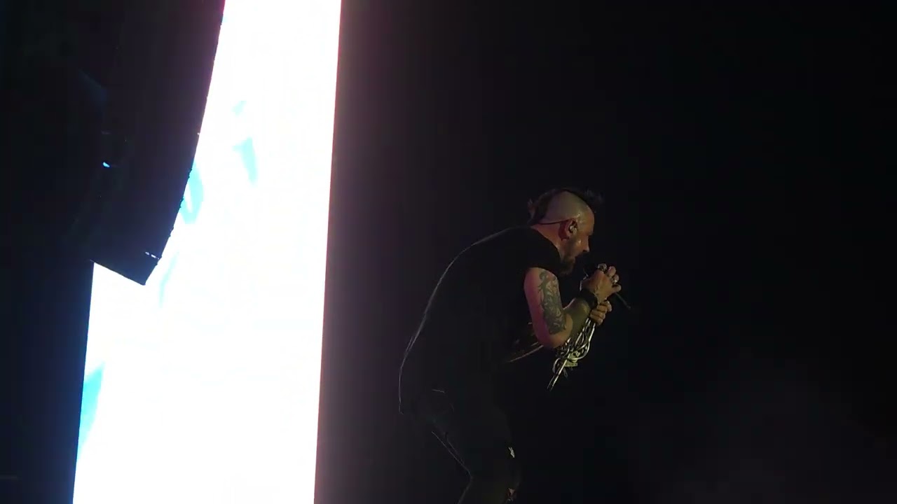 Three Days Grace - I am Machine | Welcome to Rockville 2025 Pit #viral #rock #metal #shorts