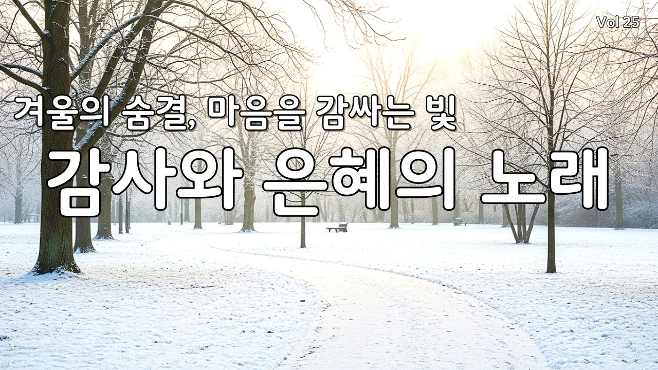 【 듣기만 해도 평안 | 지친 마음 회복】지친 마음을 감싸는 최고의 감사 찬양 모음 연속 듣기 25 (CCM/은혜/힐링 워십) #찬양연속듣기 #복음성가 #겨울찬양 #다니엘의찬양