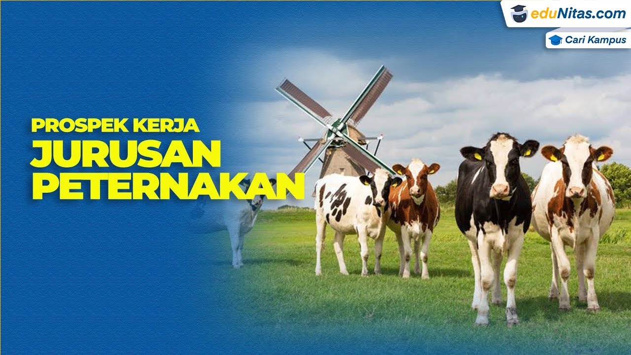 Prospek Kerja Jurusan Peternakan