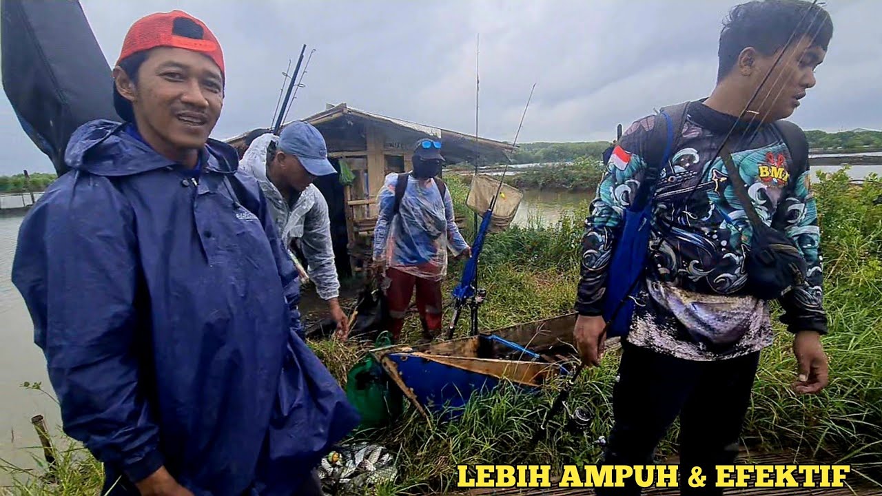 100 % Killer !! Cara Cepat Mancing Ikan Bandeng