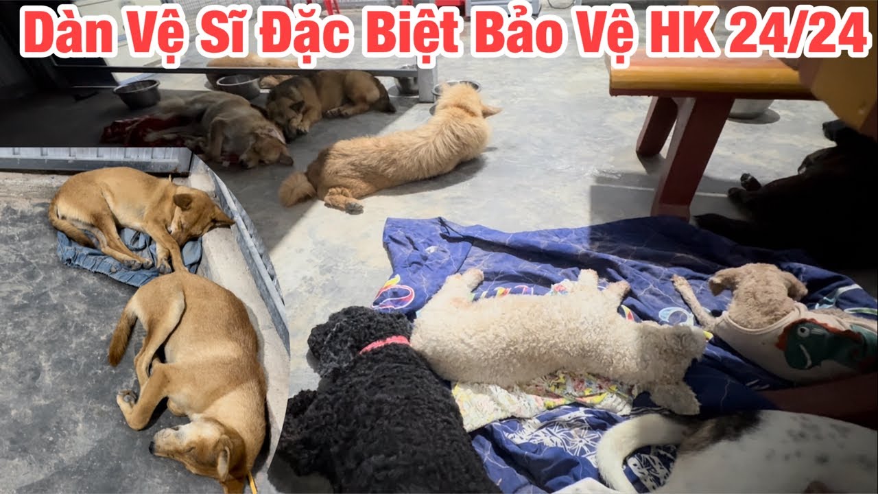 Tình hình trạm em Đẹp ngay bây giờ.