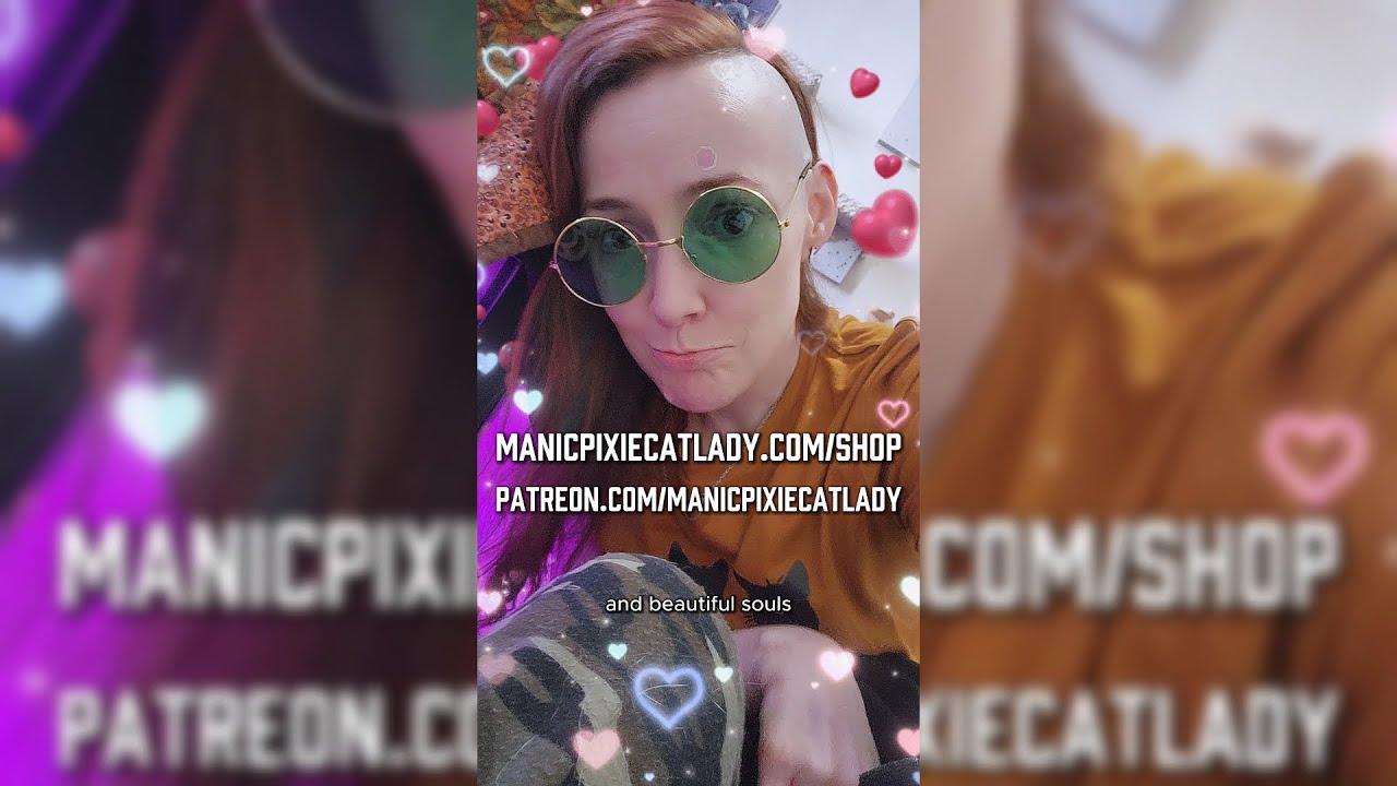 Manic Pixie Cat Lady is BACK with a Personal Update for Followers