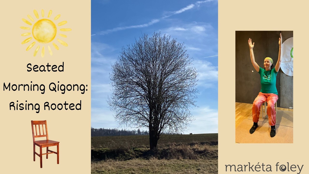 Seated Morning Qigong: Rising Rooted