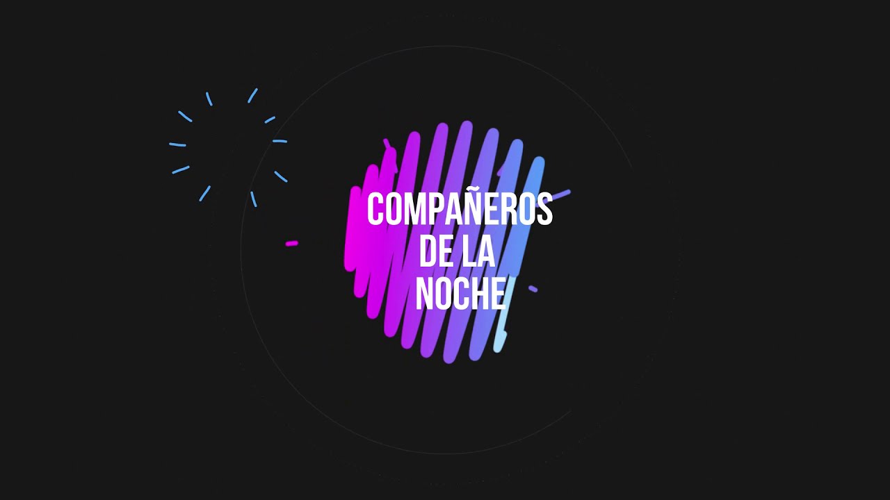 Compañeros de la noche