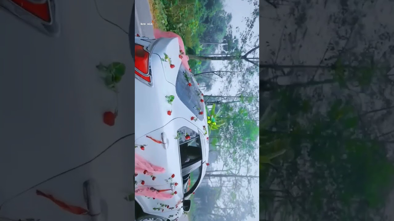 wait for result || gimbal video shoot wedding || 4k video shoot cinematic || wedding video shoot ||