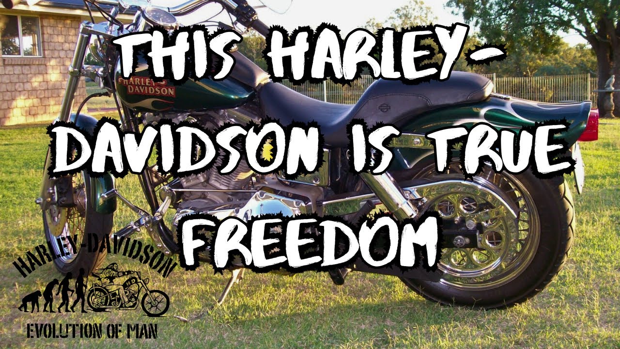 Why the Harley-Davidson Evo Engine is Perfect for DIY Mechanics