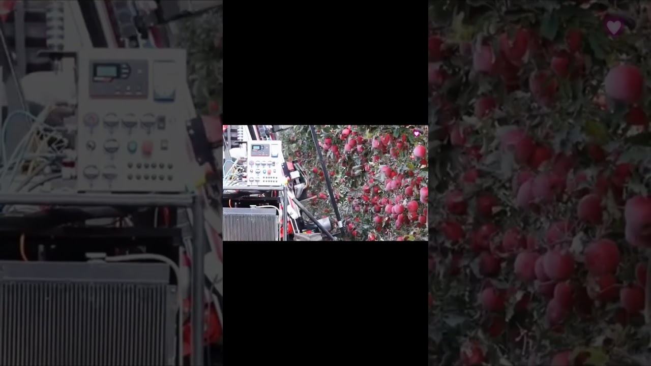 Agricultural Automation: Apple Picking Robot Breaks Technological Breakthrough#agriculture #shorts