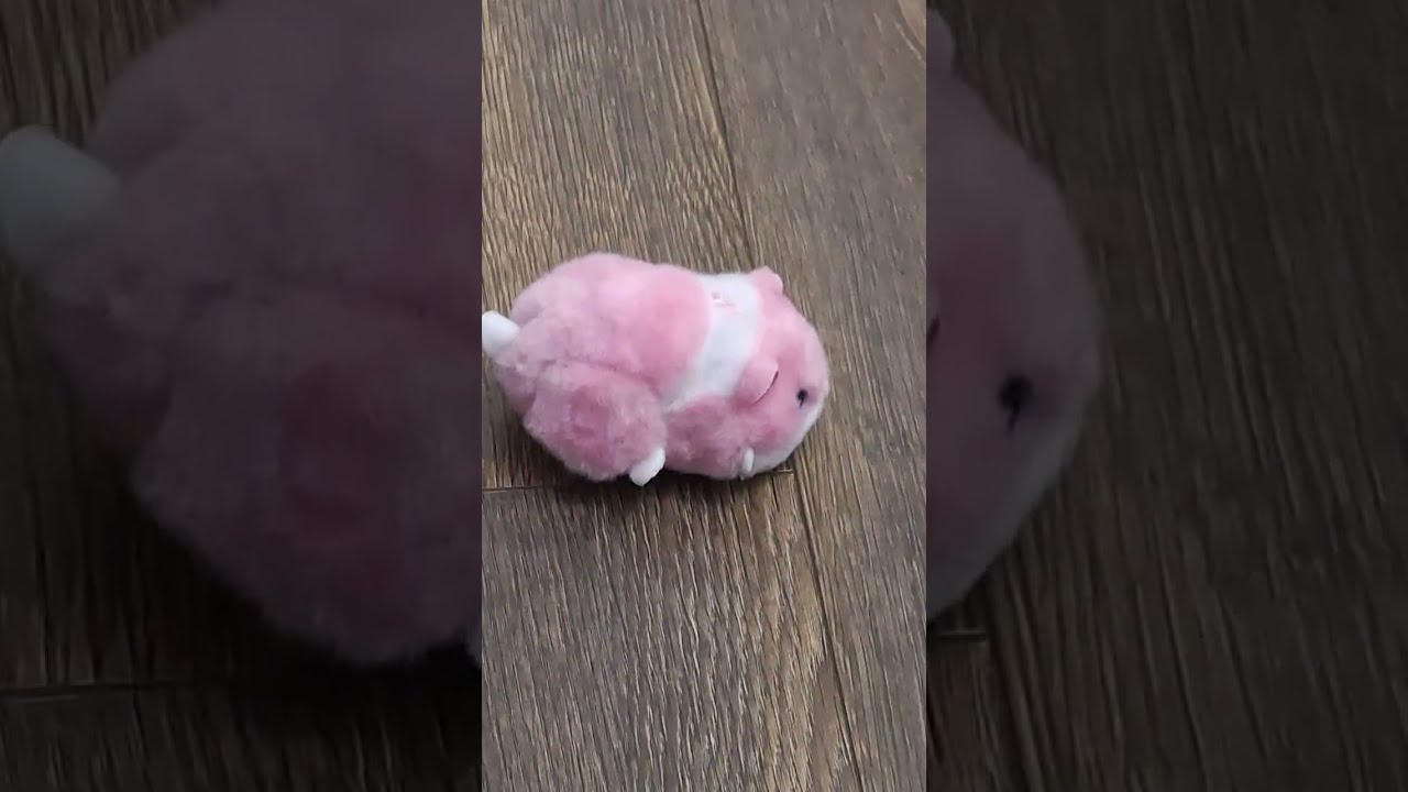 Hamster Mania