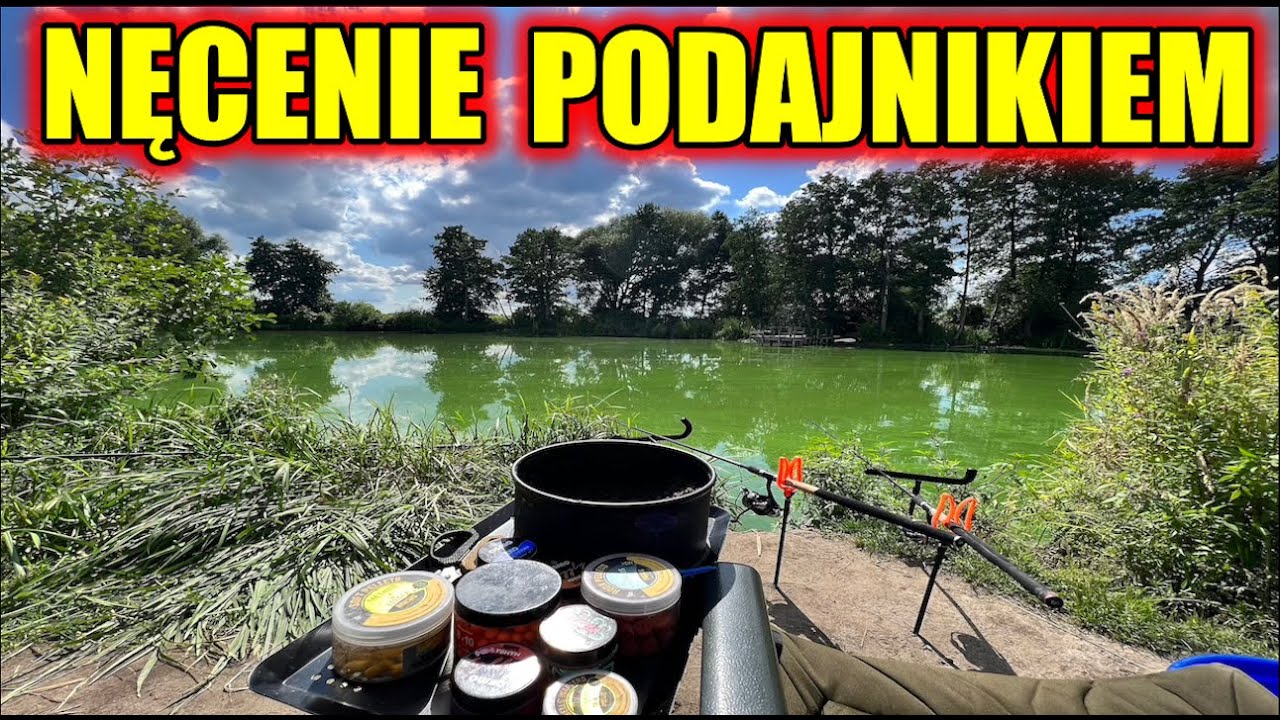 Jakie przynęty uratowały trudny wypad? Karpie w upał na method feeder i bomb feeder.