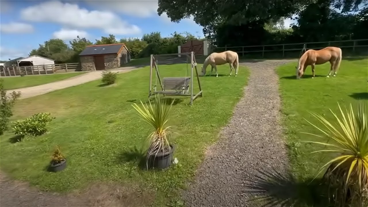 Relaxing on a sunny day at the ranch