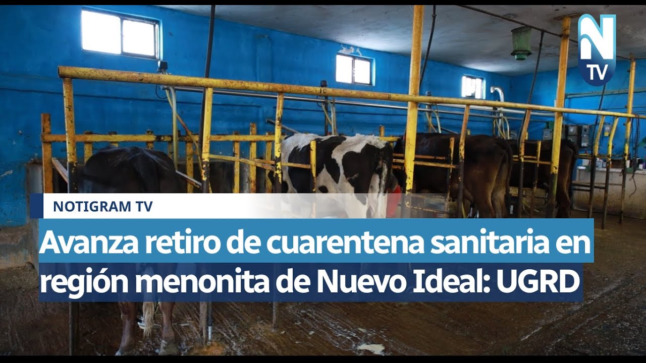 Avanza retiro de cuarentena sanitaria en región menonita de Nuevo Ideal: UGRD