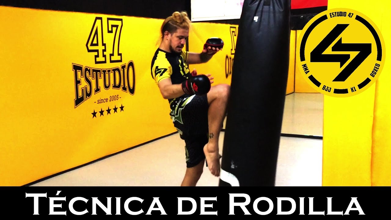 MMA | 🦵 Golpes de RODILLA (4 Técnicas de Rodilla) 💥
