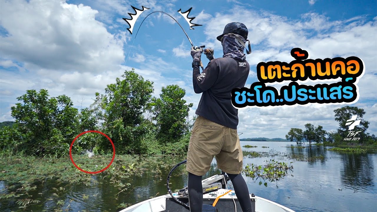 หลบตรงไหนก็ไม่รอด Skipping ล้วงเข้าไป เตะก้านคอชะโด อ่างประแสร์