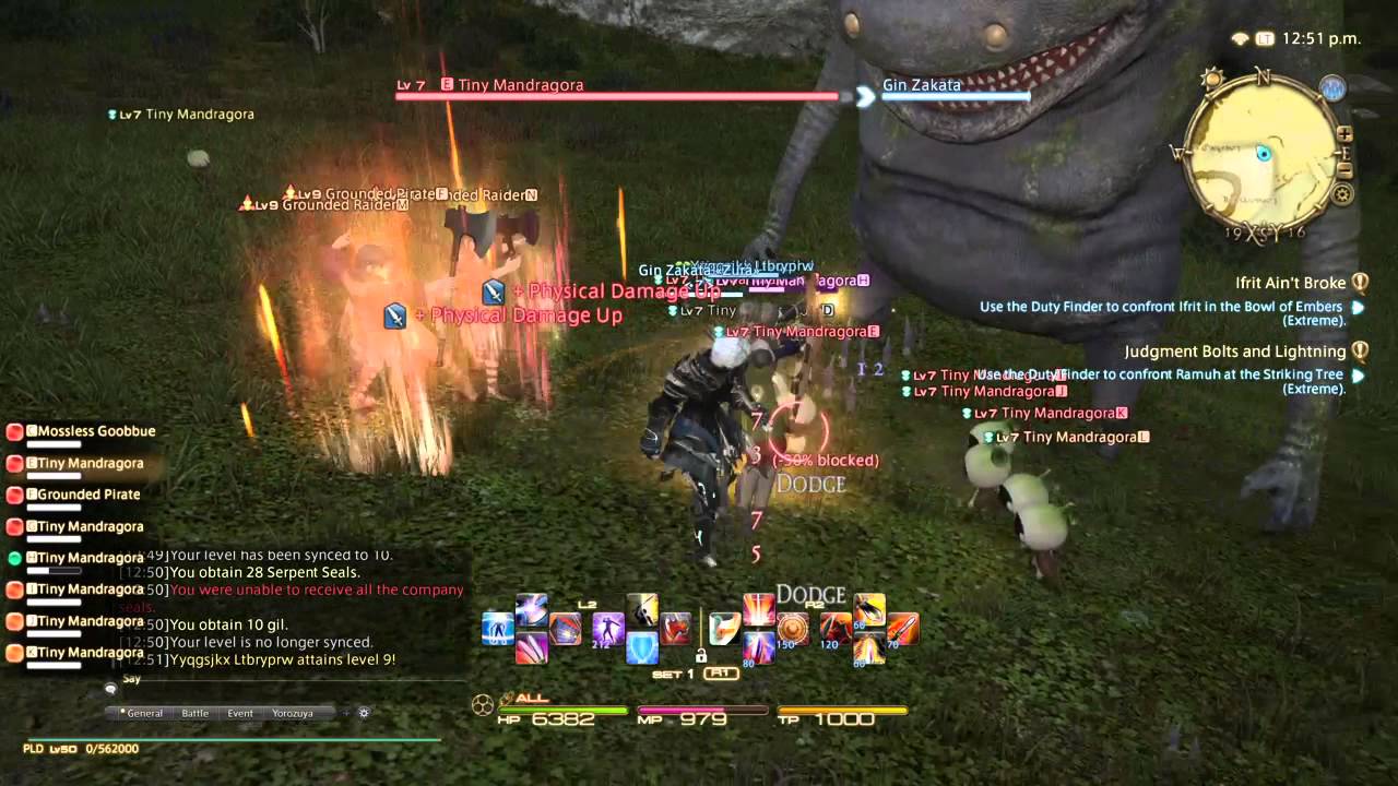FINAL FANTASY XIV: A Realm Reborn - Killing farm bots