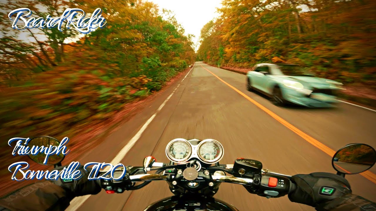[014] Bonneville T120  Beautiful red leaves at Zao Mt. | Pure Exhaust Sound [2022 Autumn]