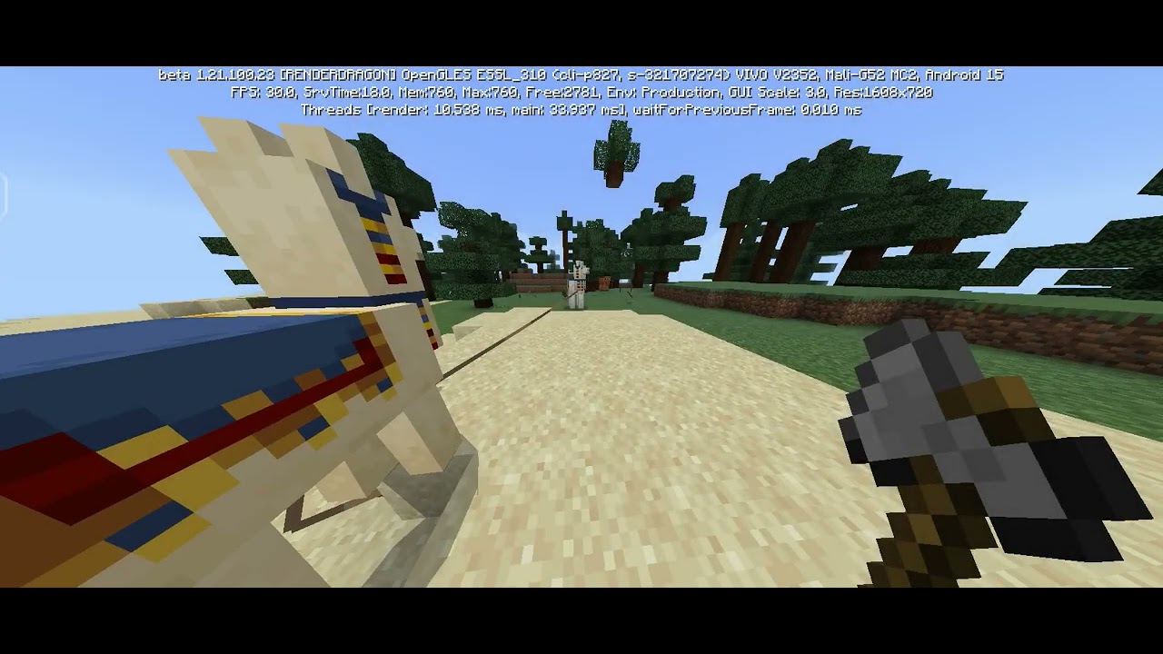 Minecraft part 3 