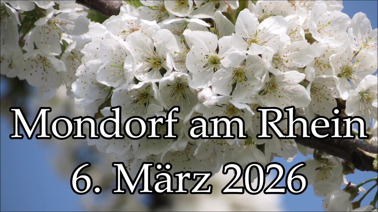Mondorf 6  März 2026