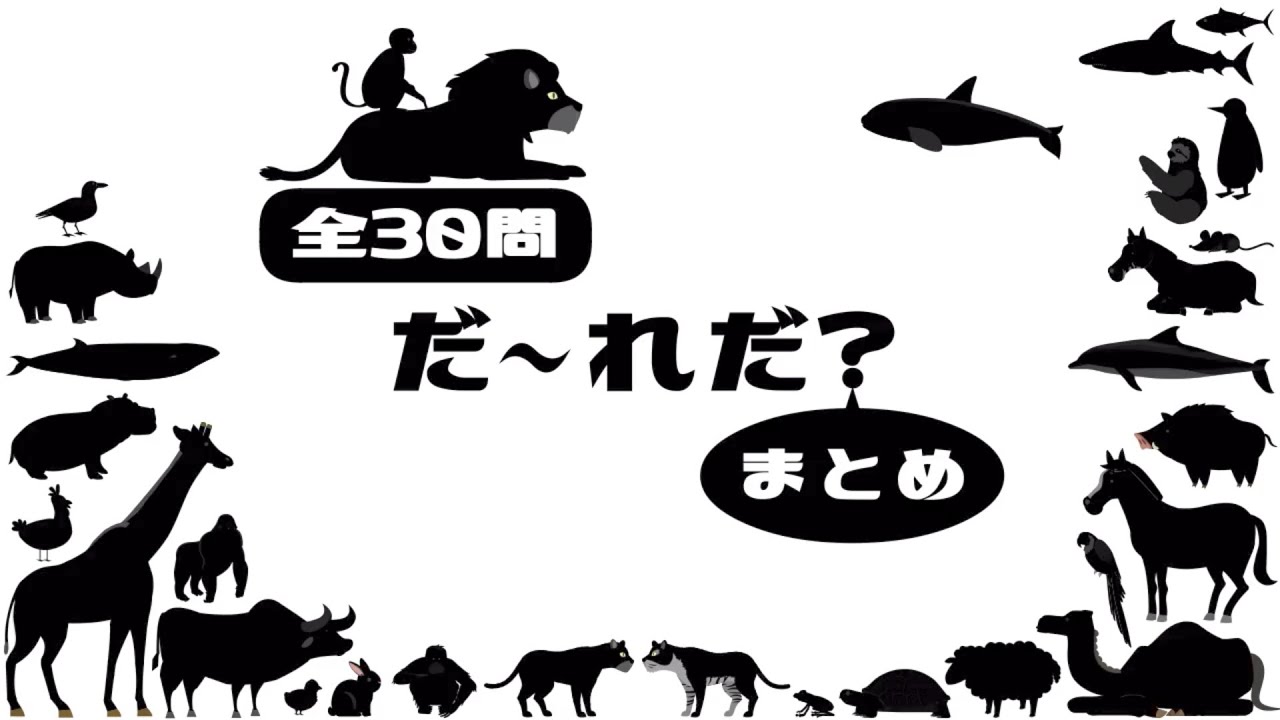 【だ～れだ？】動く‼️どうぶつ🐾シルエットクイズ⑦「まとめ」