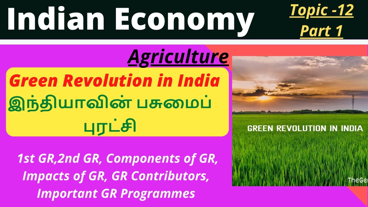 Green Revolution in India | இந்தியாவில் பசுமைப் புரட்சி | Impact of Green Revolution | TNPSC Group 1