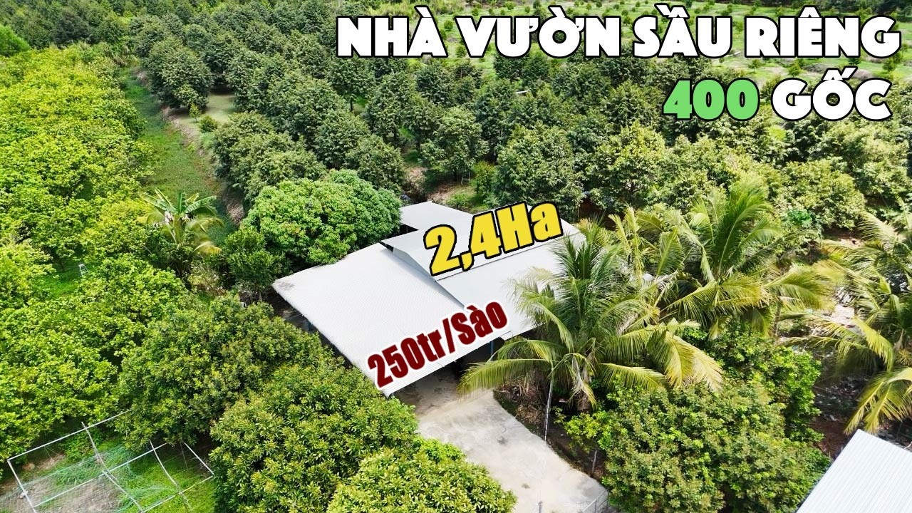 BÁN Nhà Vườn Sầu Riêng 7 Năm Tuổi Thu Hoạch Vài Chục Tấn Trái Mỗi năm . Nước Tưới Thả Ga  Vi Vu