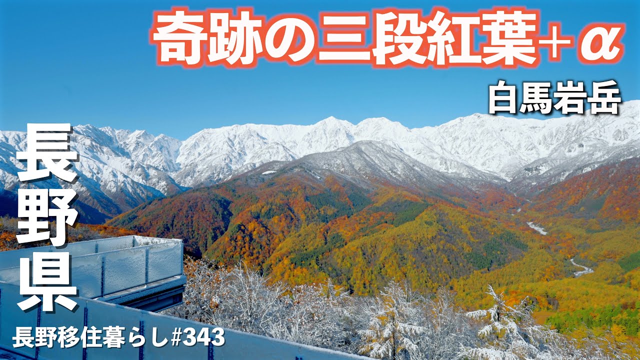 【長野移住】朝一白馬岩岳に行ったら三段紅葉だけではない素晴らしい景色が広がっていた!!｜三段紅葉｜白馬岩岳｜ドライブ｜田舎暮らし｜長野県｜4K