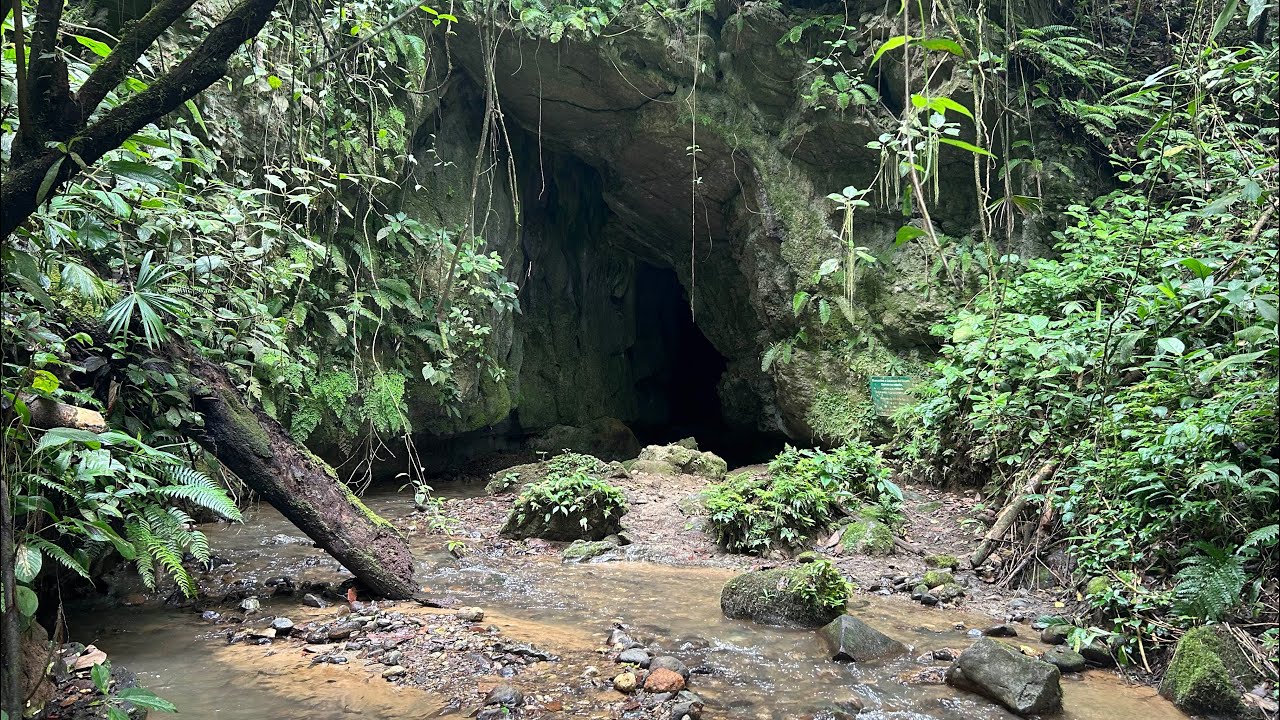 Cavernas de Venado