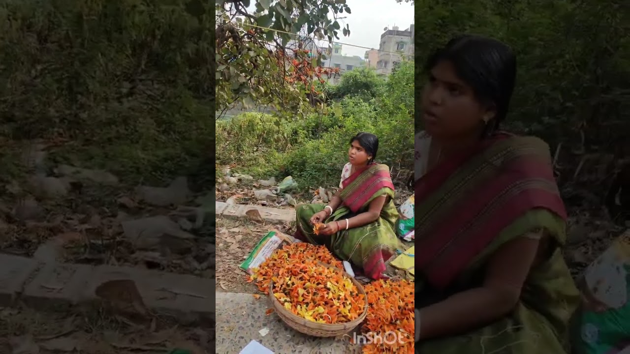 Kolkatar kache polash bon..#trending