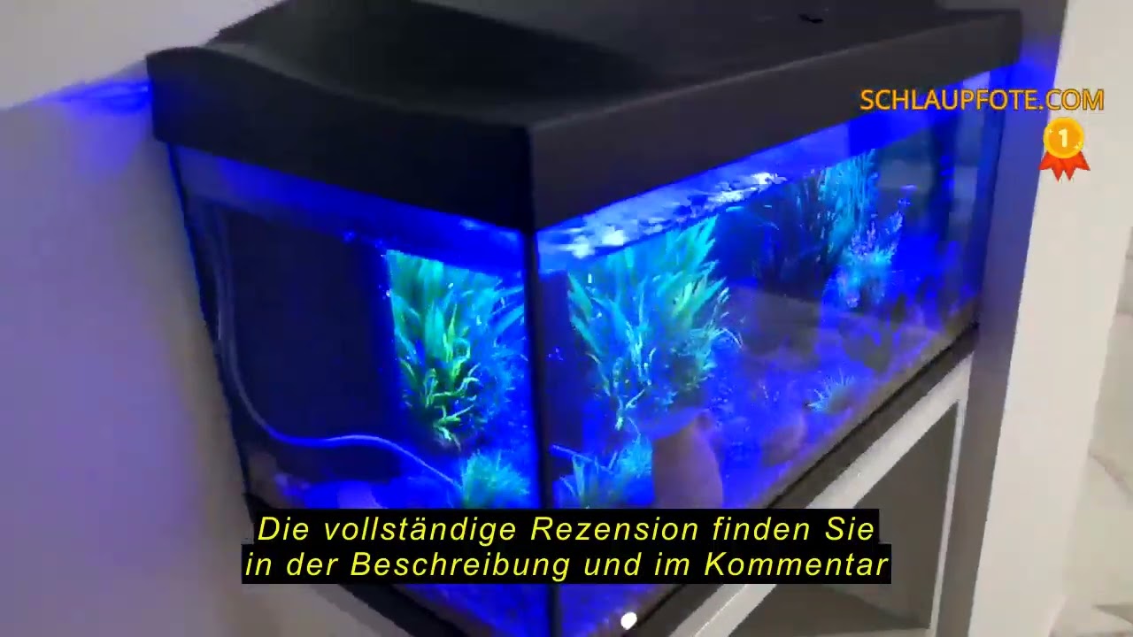 Produktbewertung Tetra Starter Line 54 L Aquarium Komplett-Set - inkl. Tag- & Nachtlicht LED-Beleuch