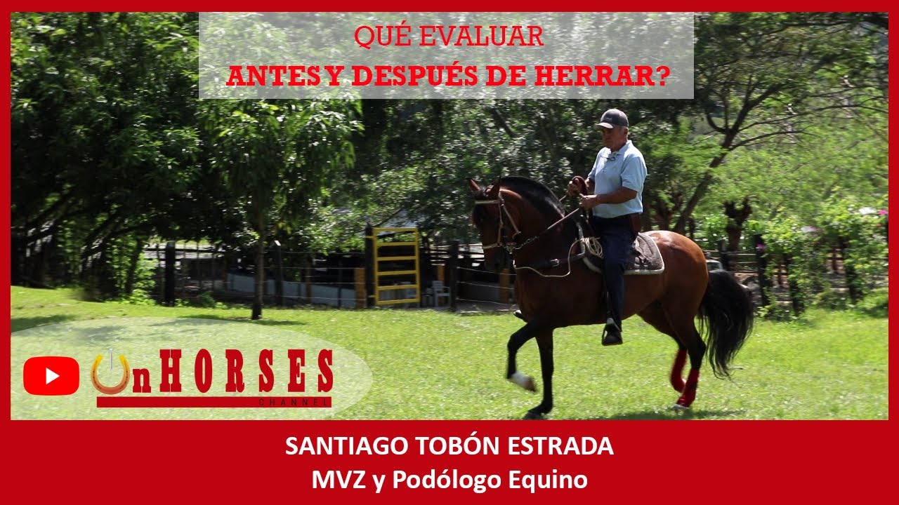 QUÉ EVALUAR ANTES Y DESPUÉS DE HERRAR? | On HORSES Channel | Santiago Tobón Estrada, Podólogo Equino