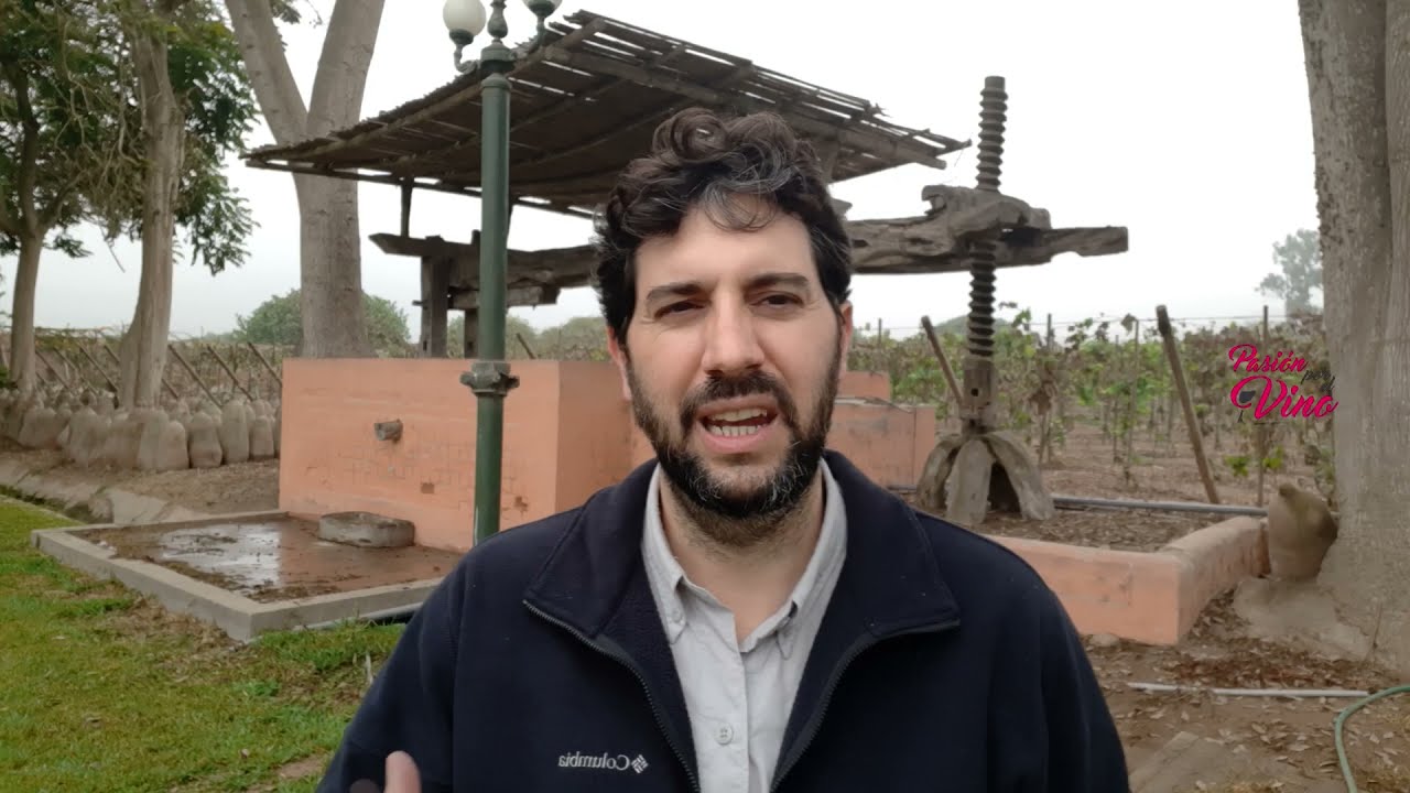 Luis Gómez - Viñas Queirolo (Lima, Perú) - PASION POR EL VINO (Programa 16, Bloque 02, Temporada 6)