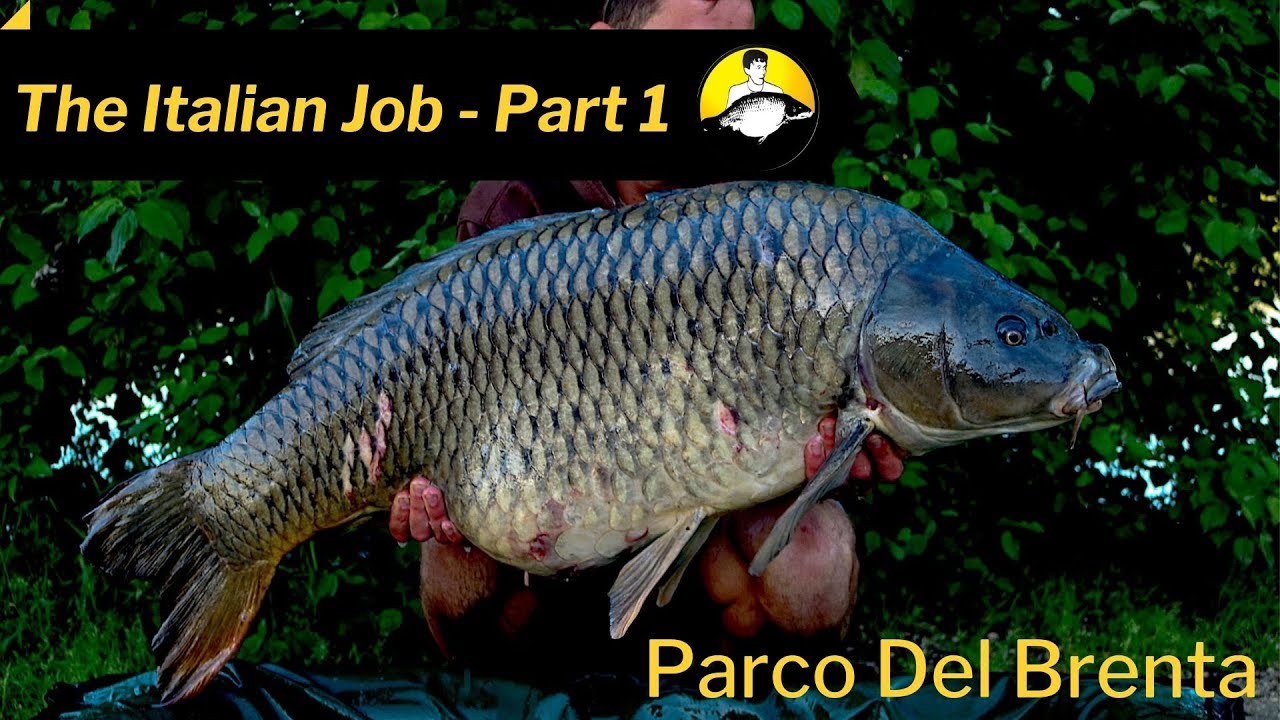 The Italian Job - Parco Del Brenta (Part 1)
