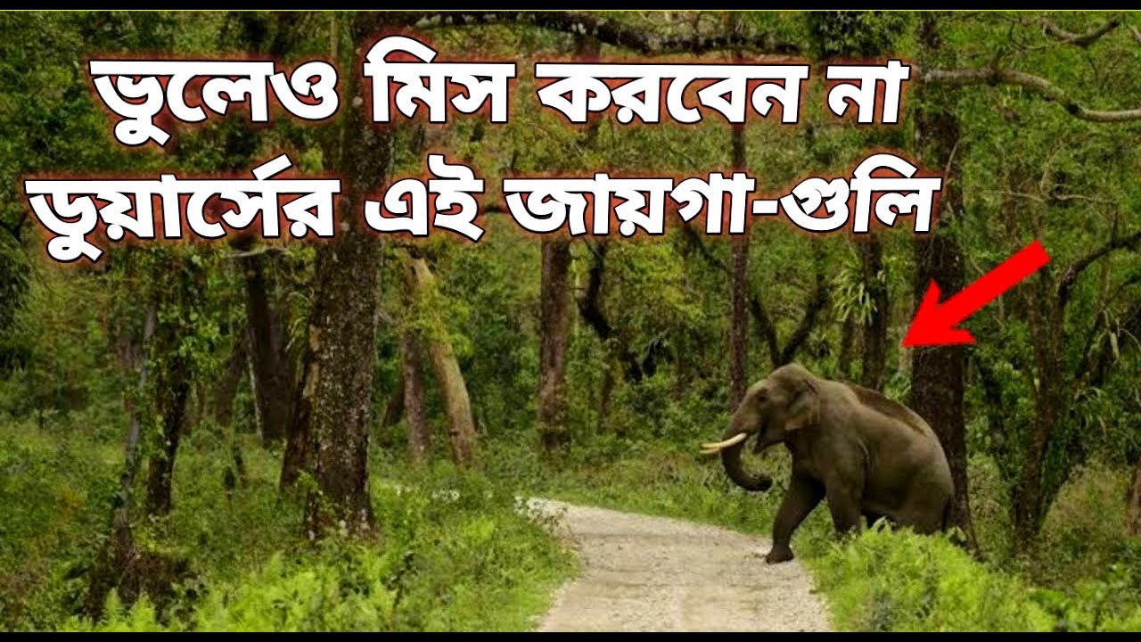 Best Places to visit in Dooars 2023 | Dooars budget tour plan in Bengali | Duars top Tourist places