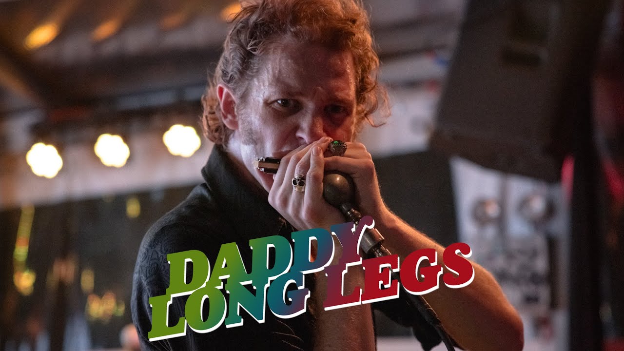 Daddy Long Legs 
