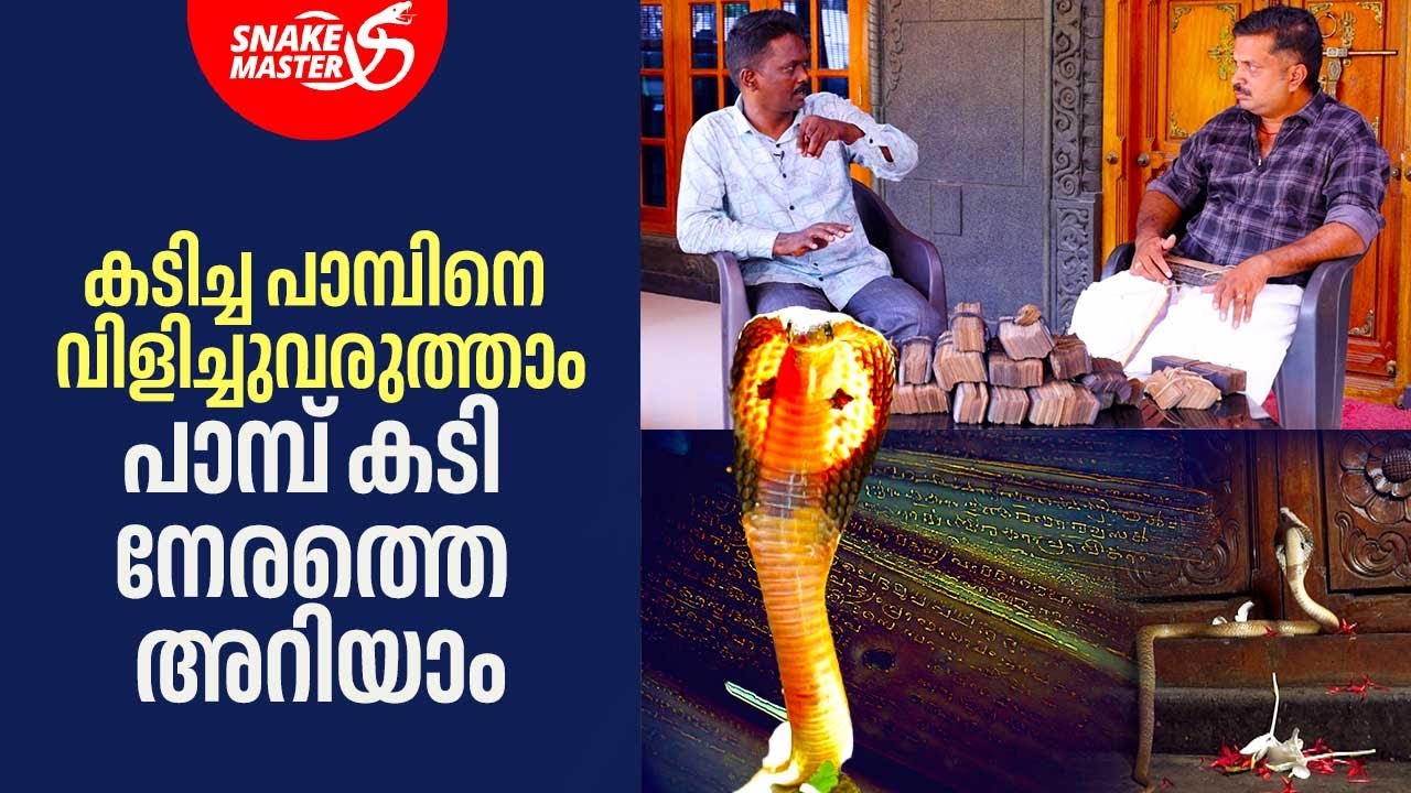 കടിച്ച പാമ്പിനെ വിളിച്ചുവരുത്താം,പാമ്പ് കടി നേരത്തെ അറിയാം | Snakemaster EP 1050