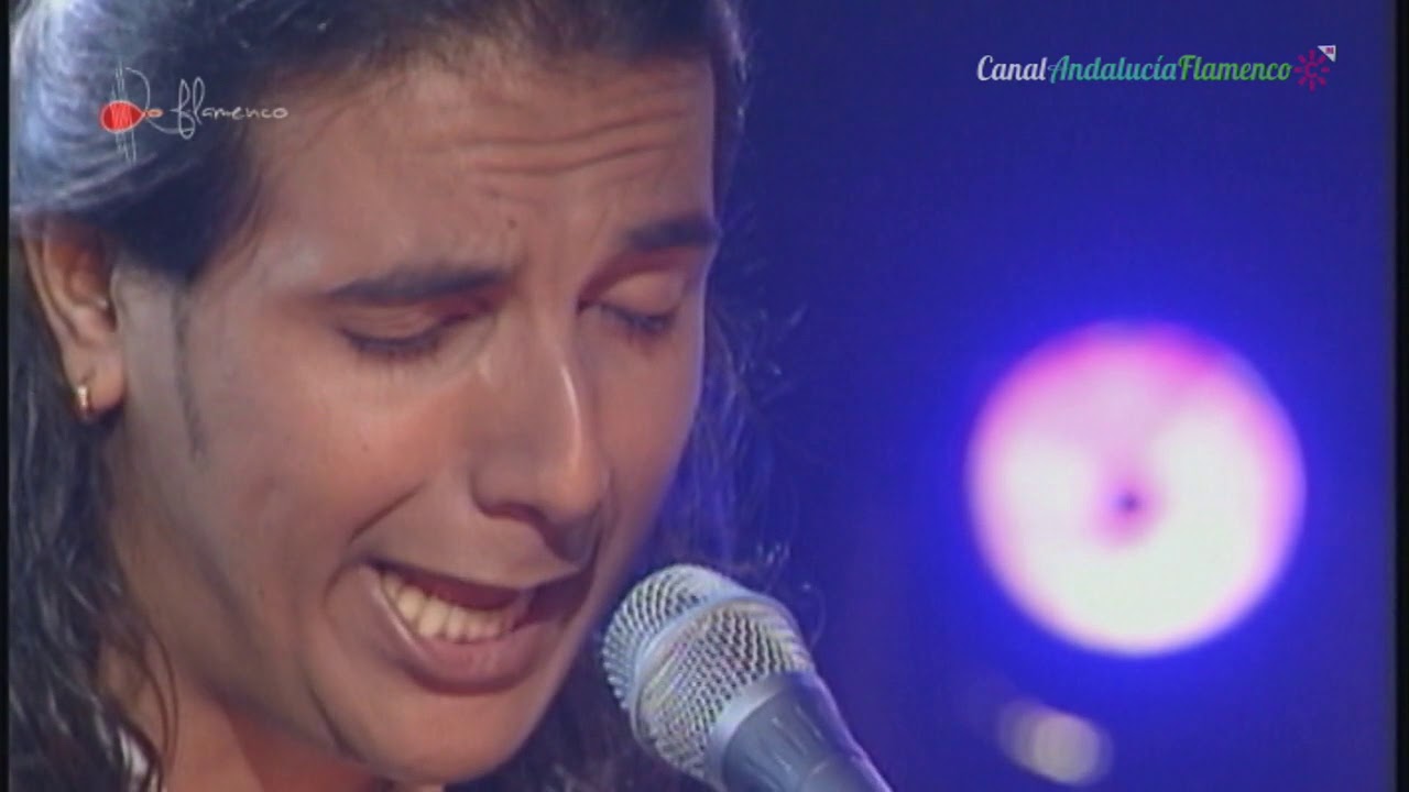 Seguiriya. Antonio Reyes. 2001