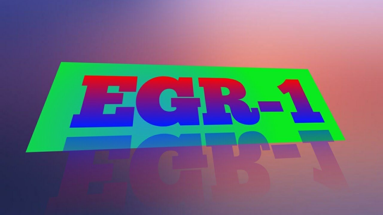 EGR-1 NSOU BDP EGR ASSIGNMENT ANSWER EXAM 2021