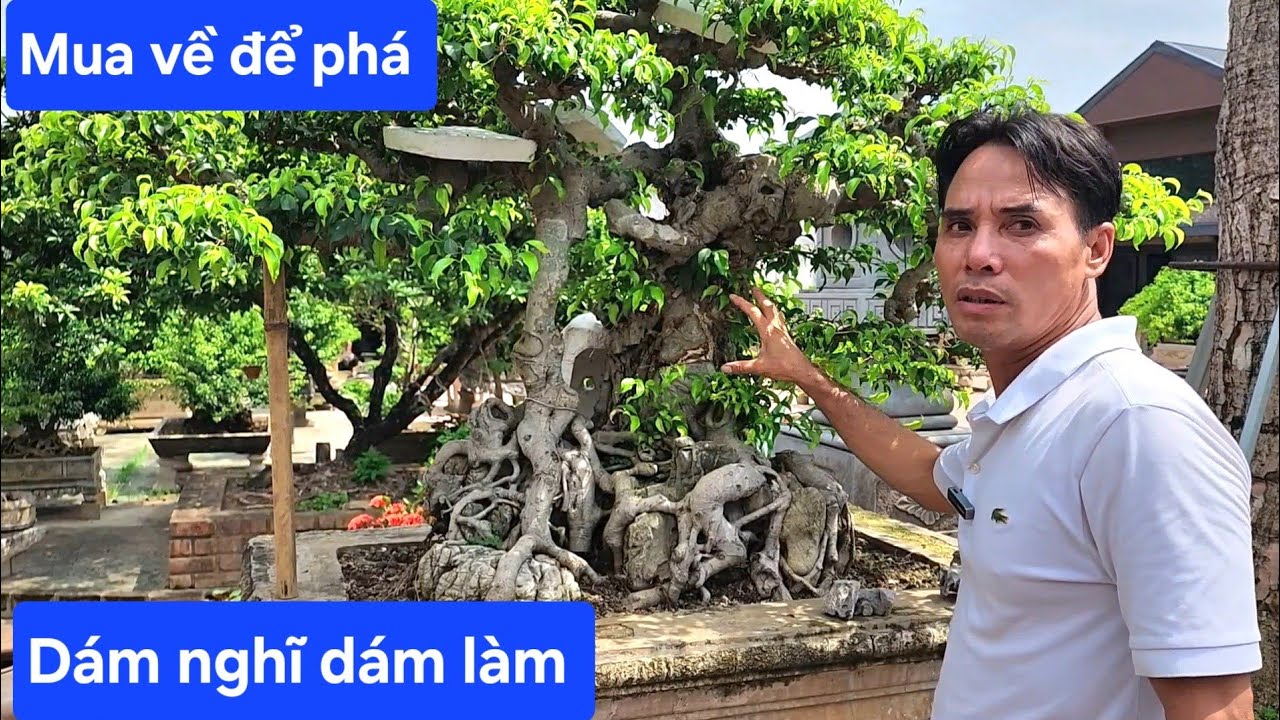 Những nhát phá mạnh tay dẫn đến thành công của anh Chí