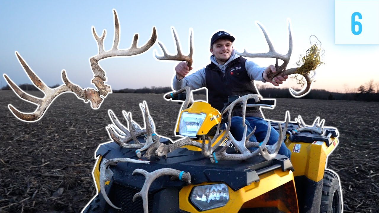 Найдите 22 сарая, БОЛЬШОГО оленя и неисправную ловушку из рогов? // Shed Hunting 2024 E6