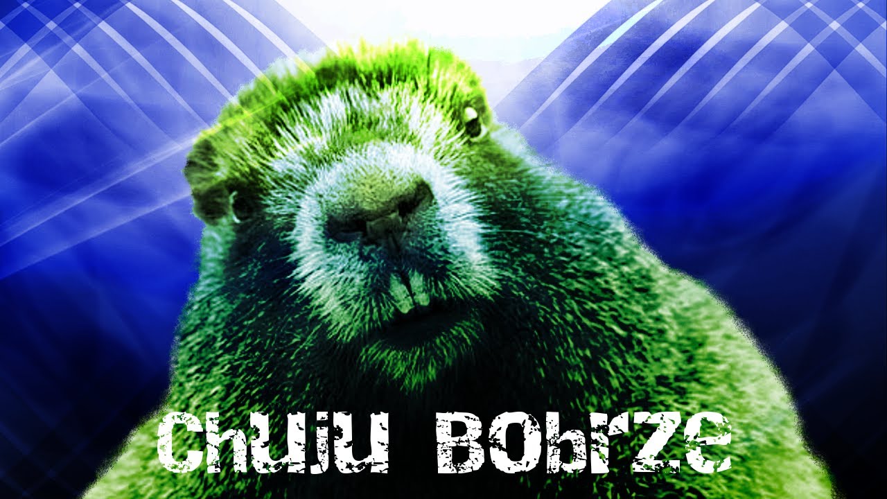 Top 5 remixów: TY CH*JU BOBRZE!