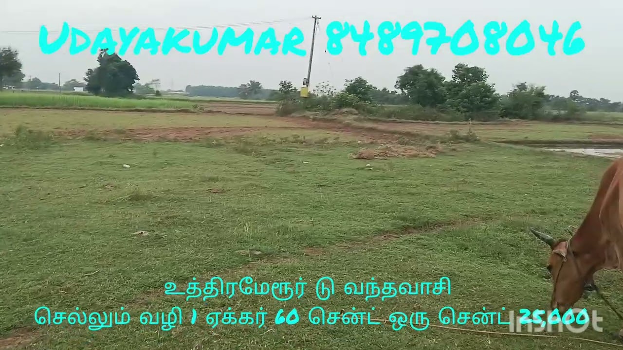 உத்திரமேரூர் அருகில் வெங்கோடு கிராமம் 1 ஏக்கர் 60 சென்ட் புஞ்சை ஒரு சென்ட் 25,000 ஒரு தலை வழியேஇல்லை